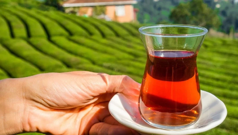 Türk çay markasında kanserojen madde çıktı!