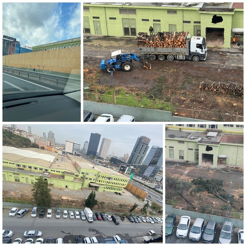 ''Devlet oluru'' ile ağaç katliamı! Kimse görmesin diye etrafı çevirdiler! - Resim : 1