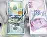 Kredi büyümesinde fren: Suçlu yabancı para krediler