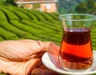 Türk çay markasında kanserojen madde çıktı!