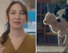 İnceleme başlatılmıştı: Bosch’un Anneler Günü reklamı yayından kaldırıldı
